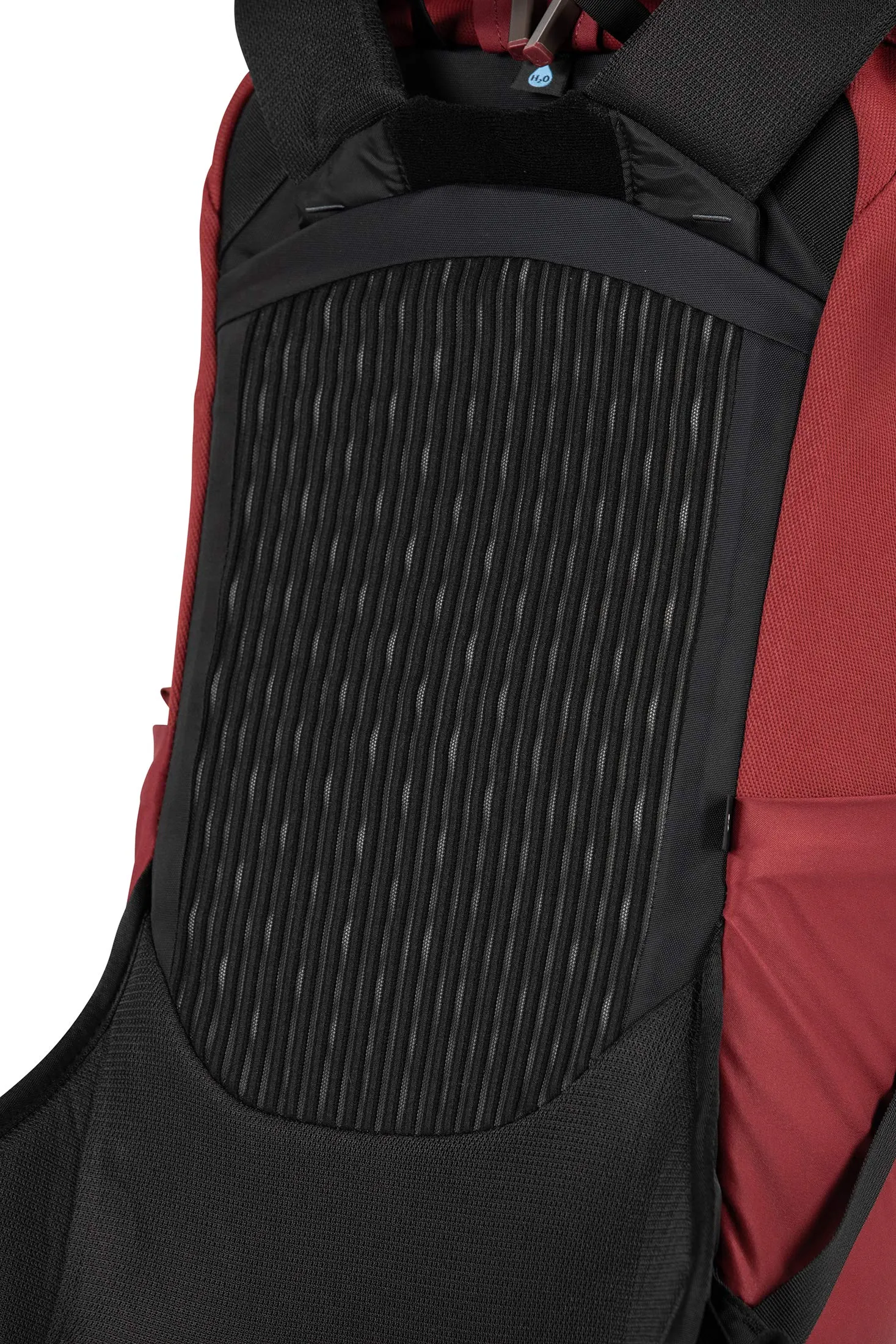 Osprey Packs Archeon 24 Unisex