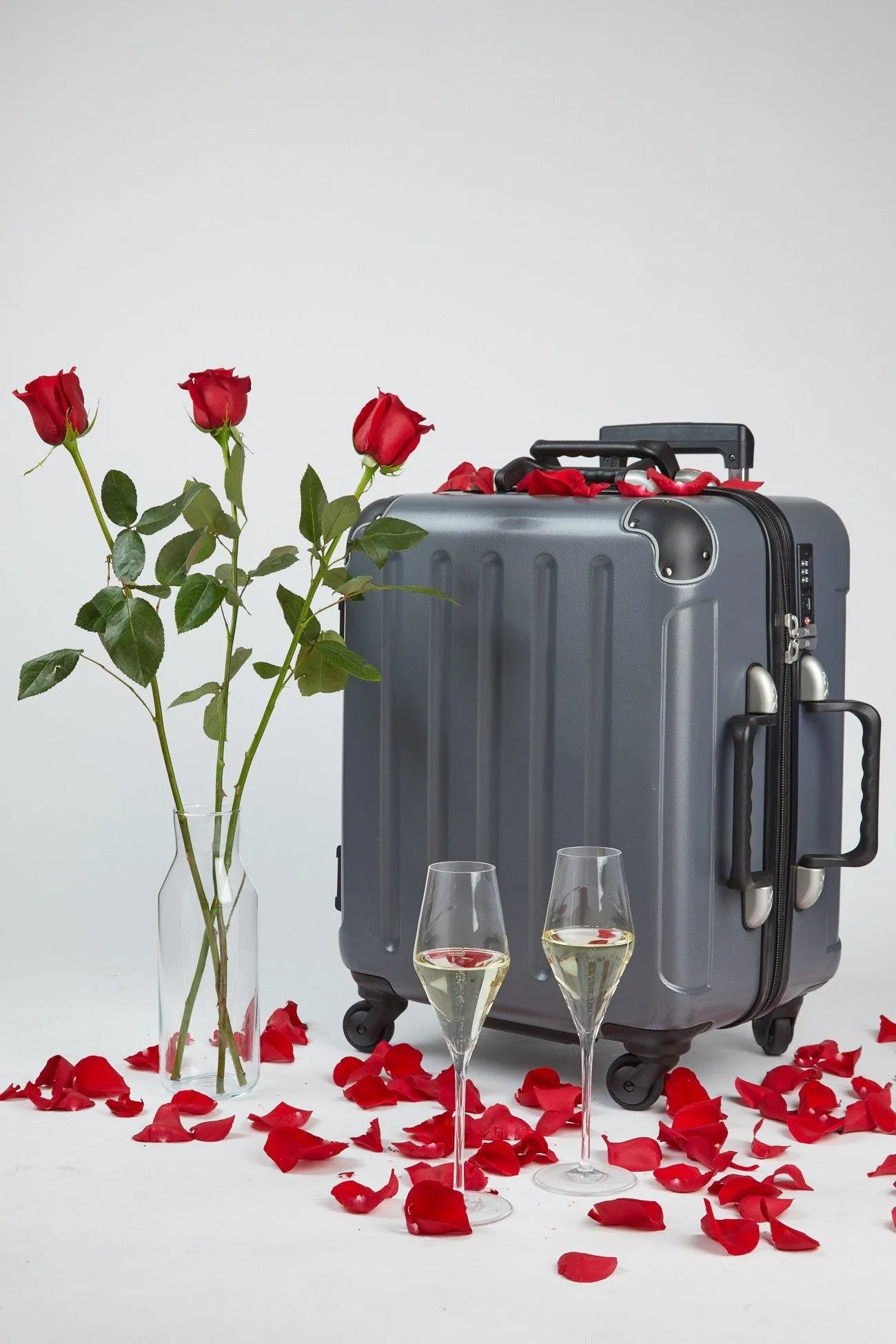 VinGardeValise Petite Carry-On Wine Case